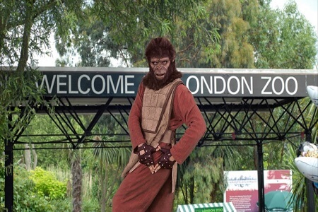 ape man 